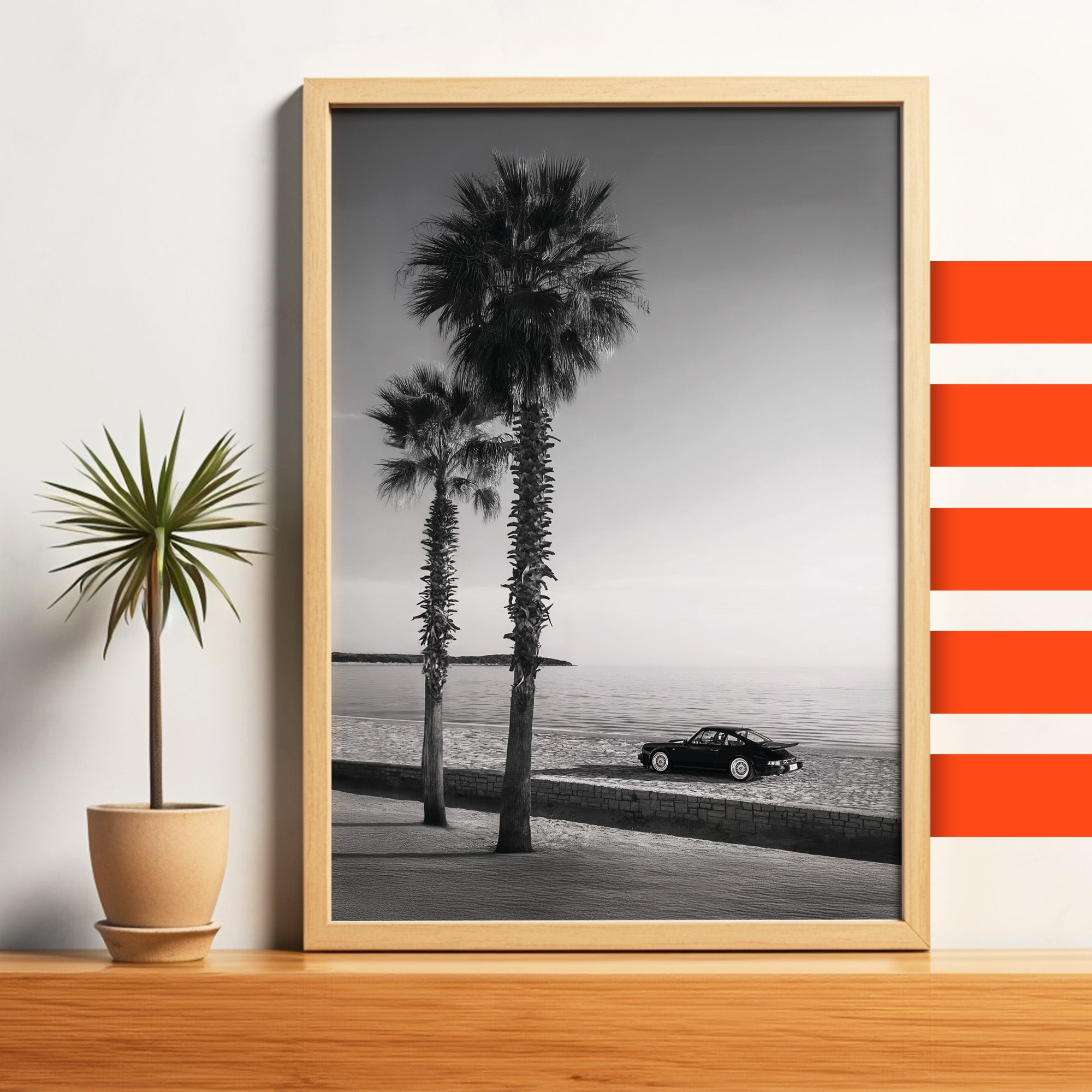Palms BW