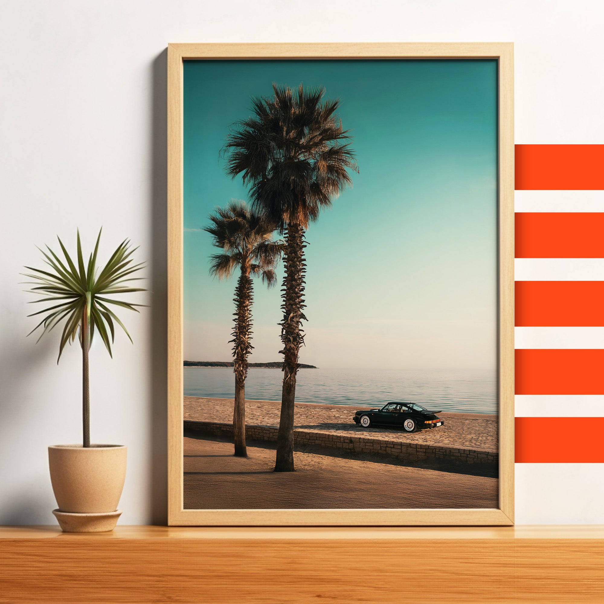 Palms