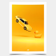 Flying Duck