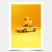 Duck Roof